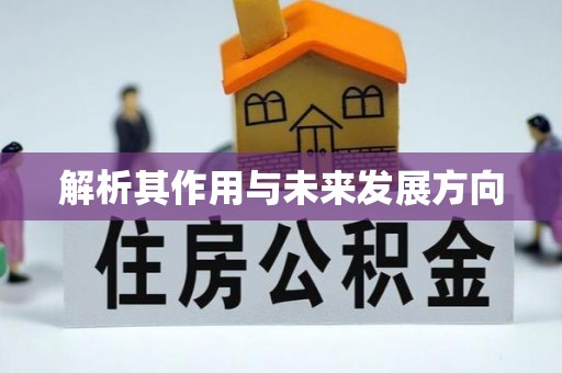 老河口解析其作用与未来发展方向